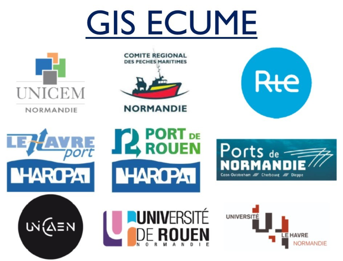 Gis ecume