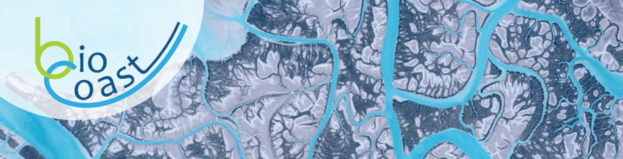 Isea biocoast bandeau