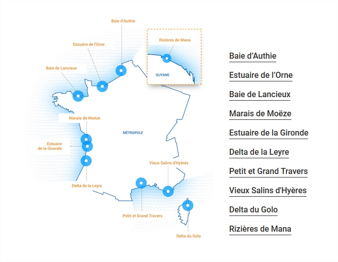 Adapto sites